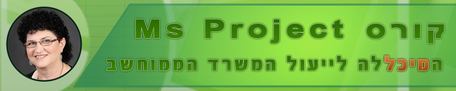 קורס  Ms Project